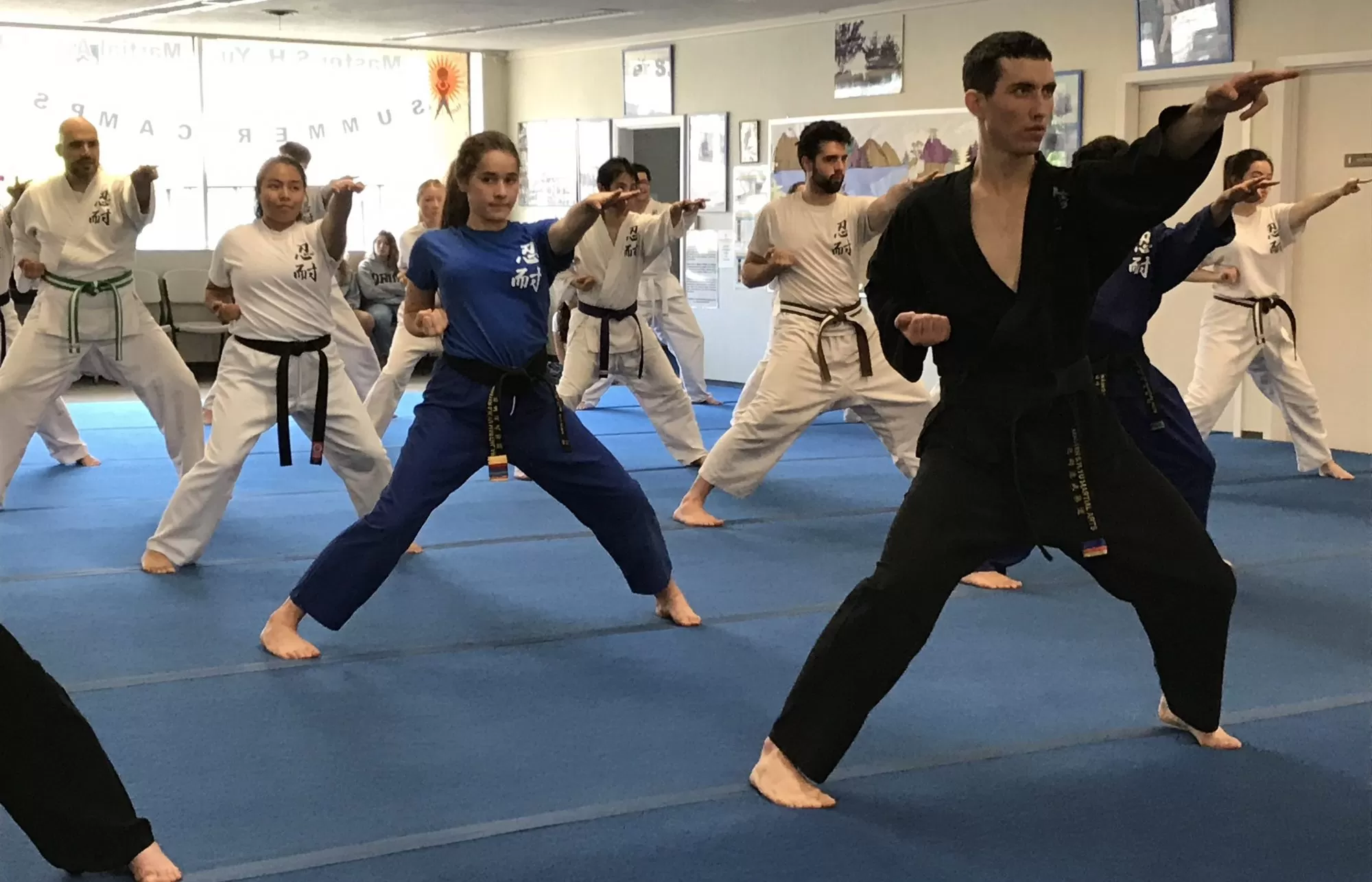 Combat Sports for Beginners: What Are the Different Types?