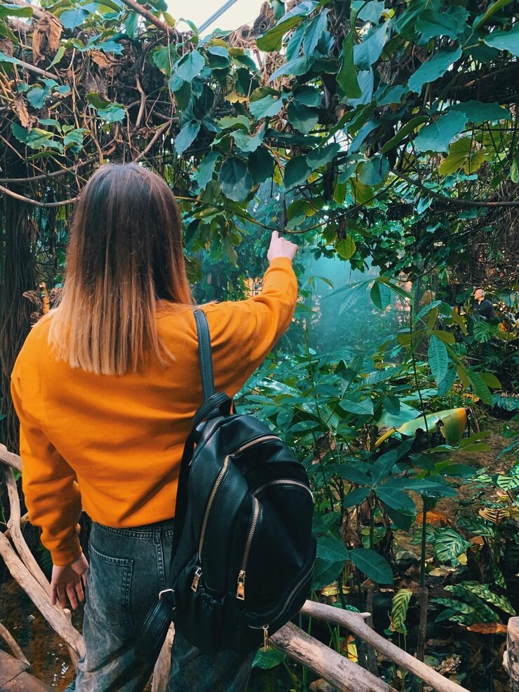 5 Sustainable Travel Options for Green Travel: Your Guide to Eco-Friendly Adventures
