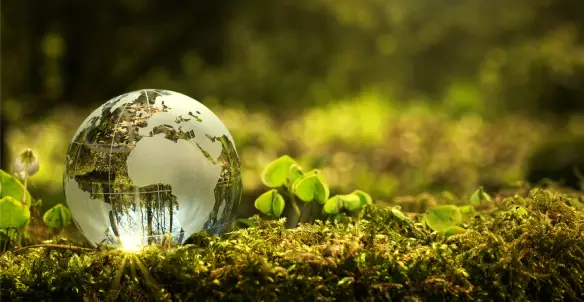Eco-Friendly Travel: How to Explore the World Sustainably and Leave a Positive Impact